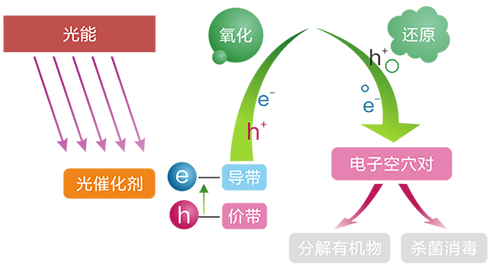 bet8·(股份)有限公司官网