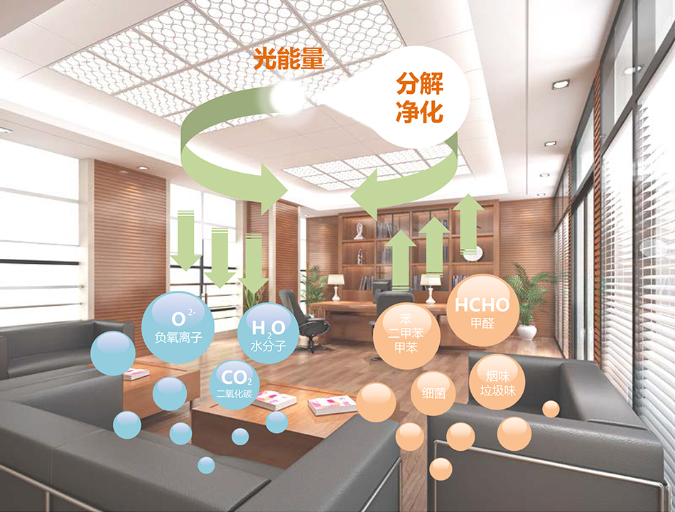 bet8·(股份)有限公司官网
