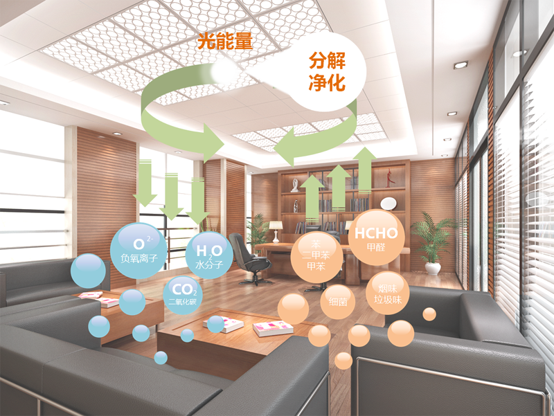 bet8·(股份)有限公司官网