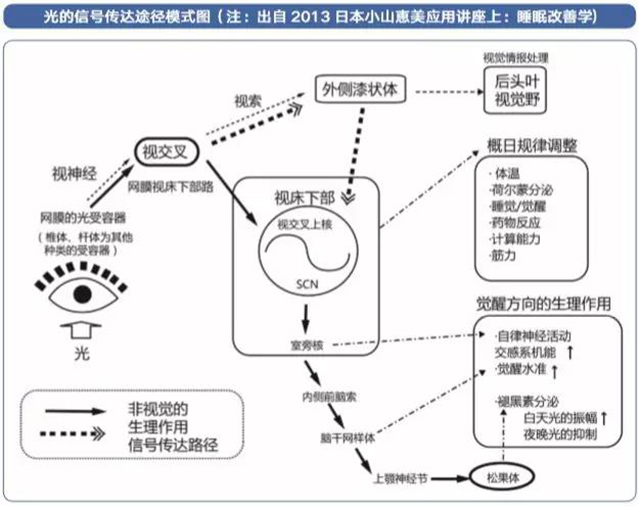 bet8·(股份)有限公司官网