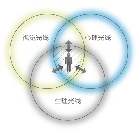 bet8·(股份)有限公司官网